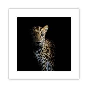 Poster - Bellezza tenebrosa - 30x30 cm