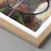 Rovere chiaro