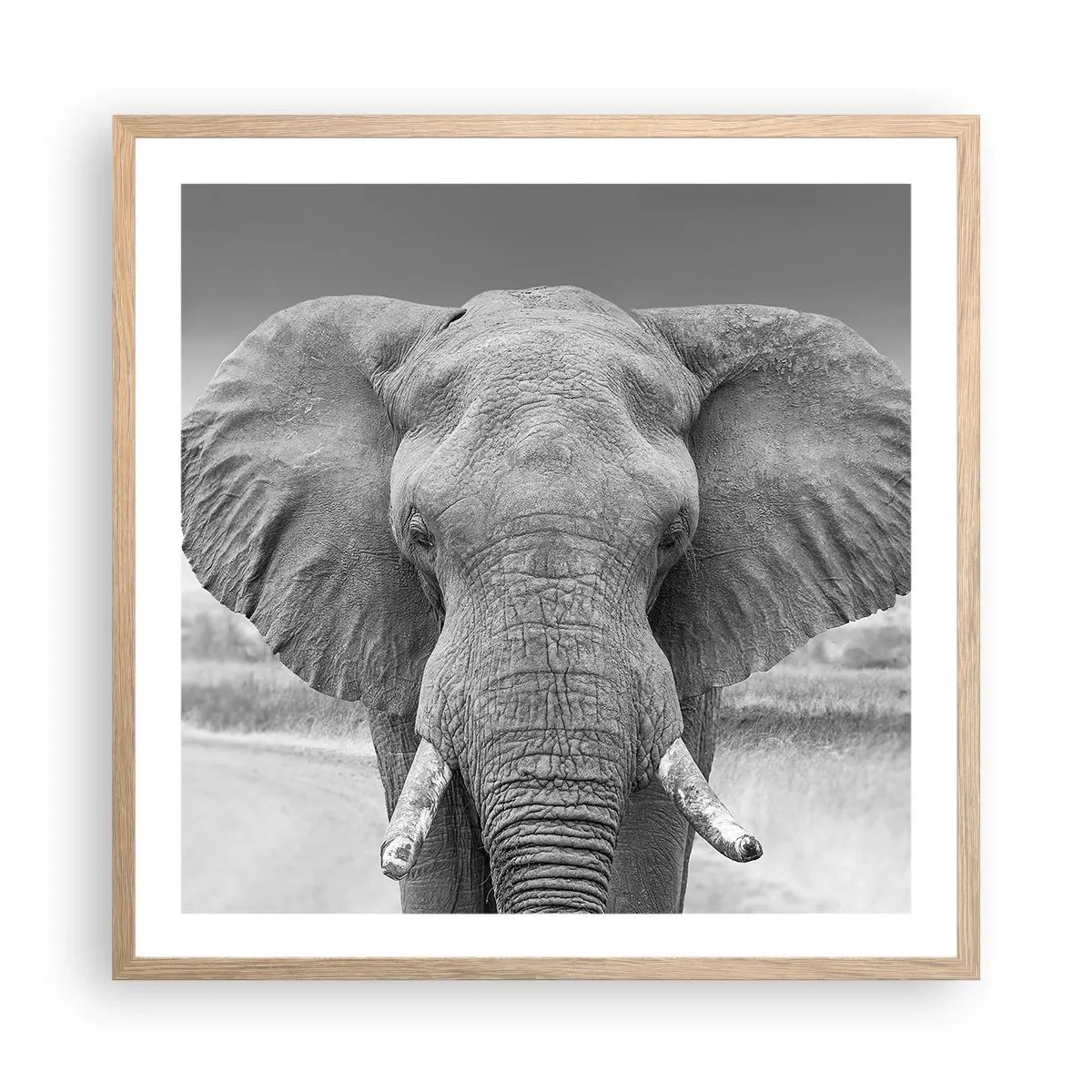 Poster in cornice rovere chiaro - Benvenuti nel mio mondo - 60x60 cm