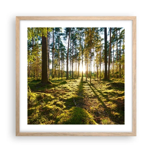 Poster in cornice rovere chiaro - …dopo sette foreste - 50x50 cm