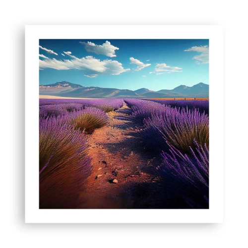 Poster - Campi profumati - 50x50 cm