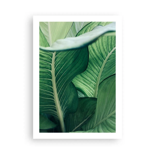 Poster - Primo piano delle foglie verdi di una pianta - 50x70cm - Una vita intensamente verde - Decorazione murale moderna per soggiorno e camera da letto ARTTOR