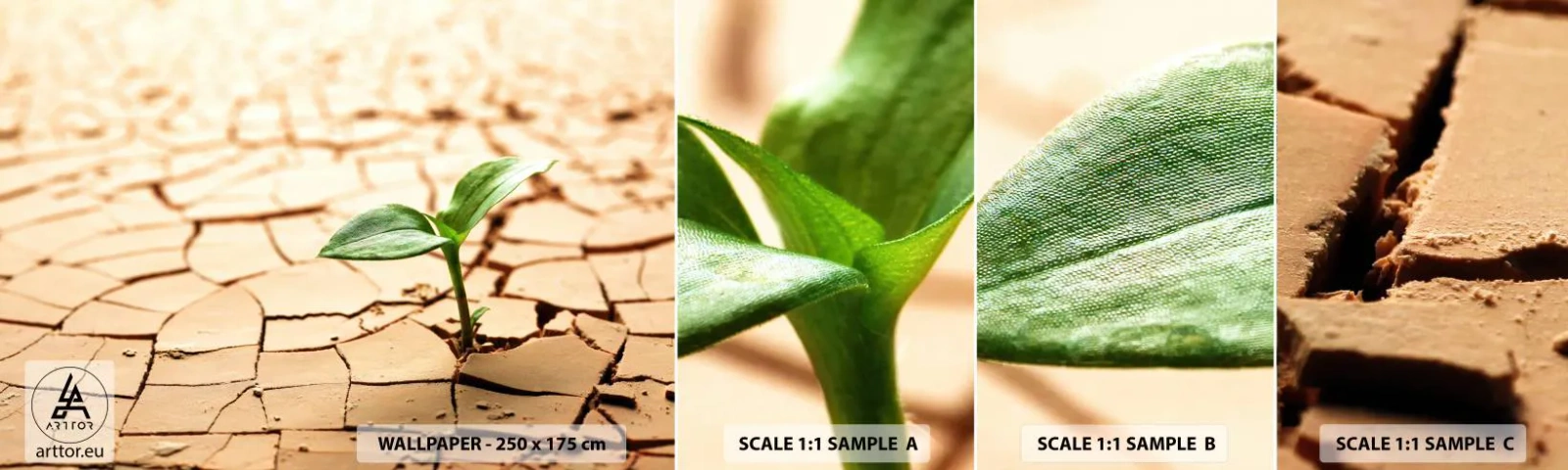 Campione Di Fotomurale Standard Eco - L'indomita forza della vita - Natura, Pianta, Siccità - 100x30 cm