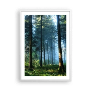 Poster in cornice bianca - Raggiante all'alba - 50x70 cm