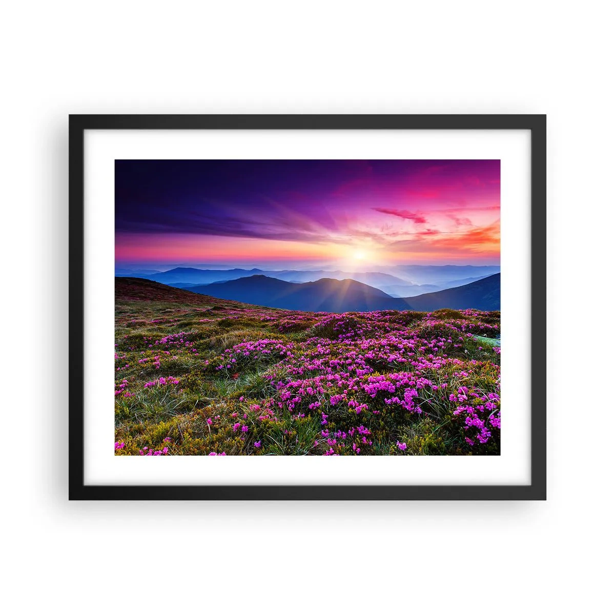 Poster in cornice nera - Il profumo dei fiori freschi del campo - 50x40 cm