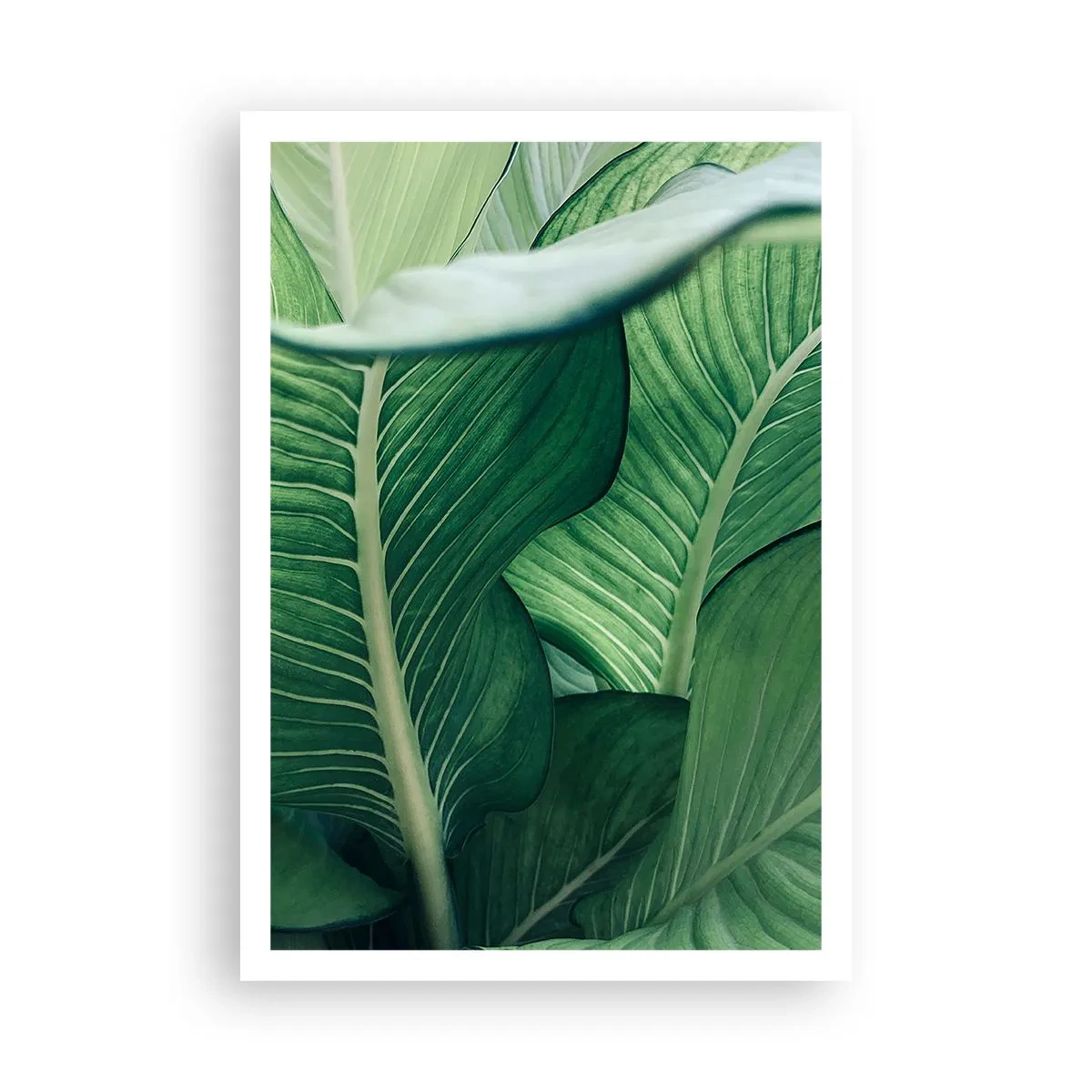 Poster - Una vita intensamente verde - 70x100 cm