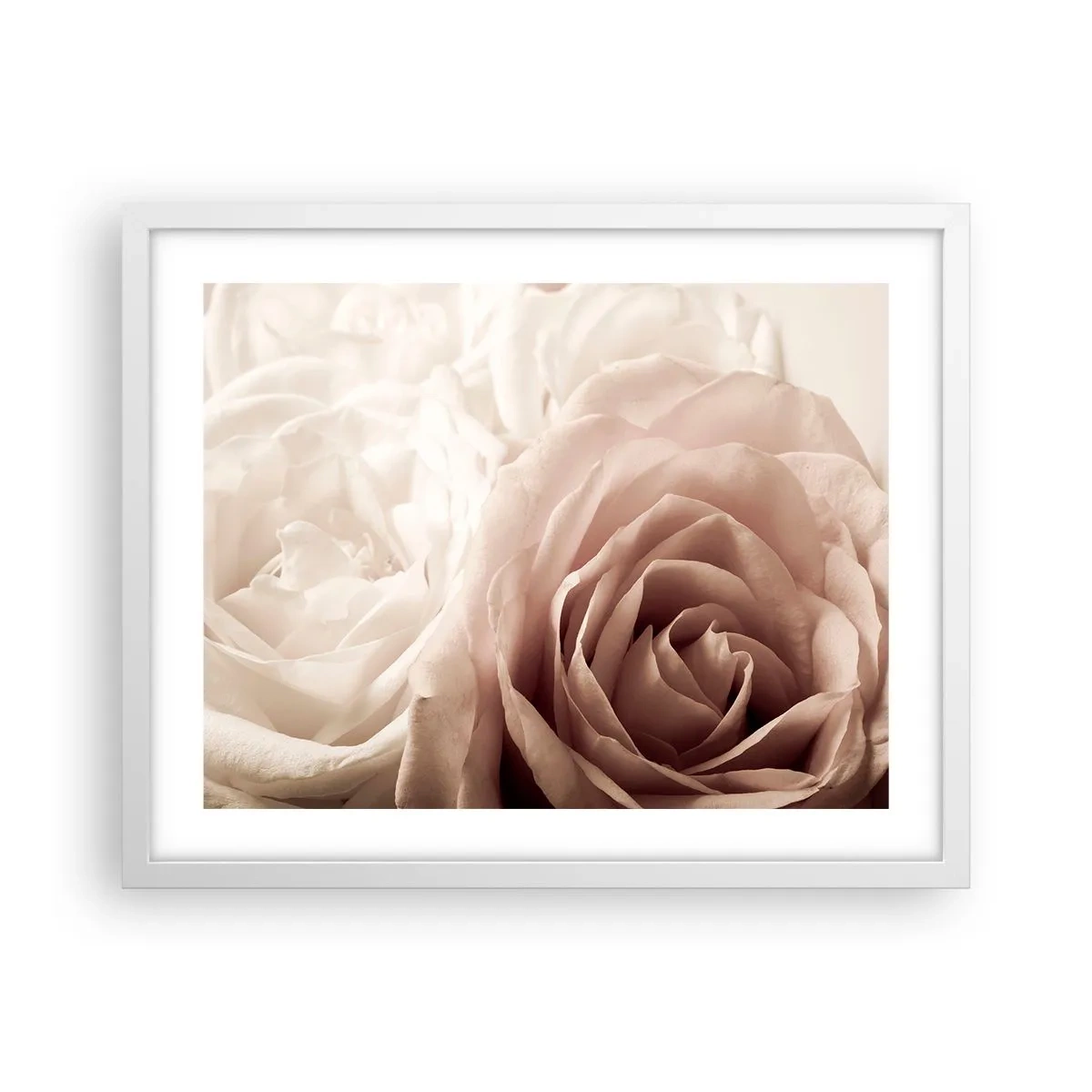 Poster in cornice bianca - Nel cuore della rosa - 50x40 cm