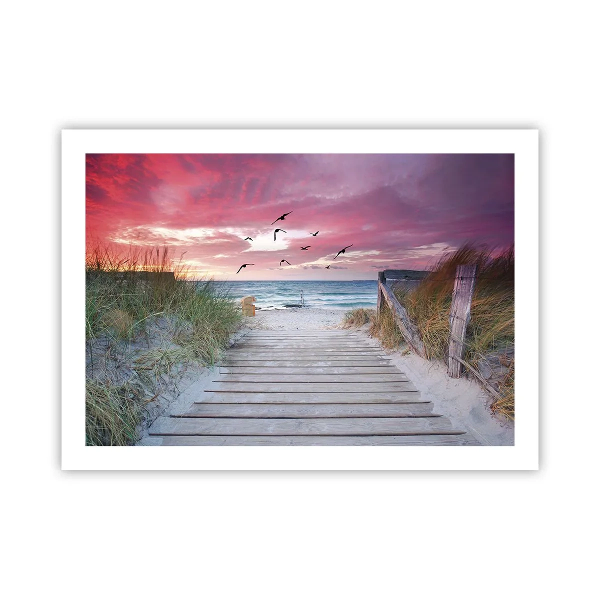 Poster - Impressioni baltiche - 70x50 cm
