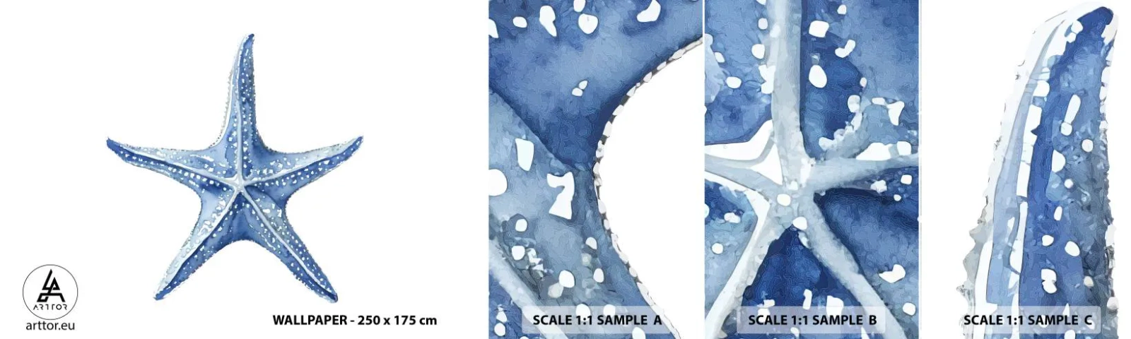 Campione Di Fotomurale Standard Eco - Stella marina - Stella marina, Mare, barriera corallina - 100x30 cm