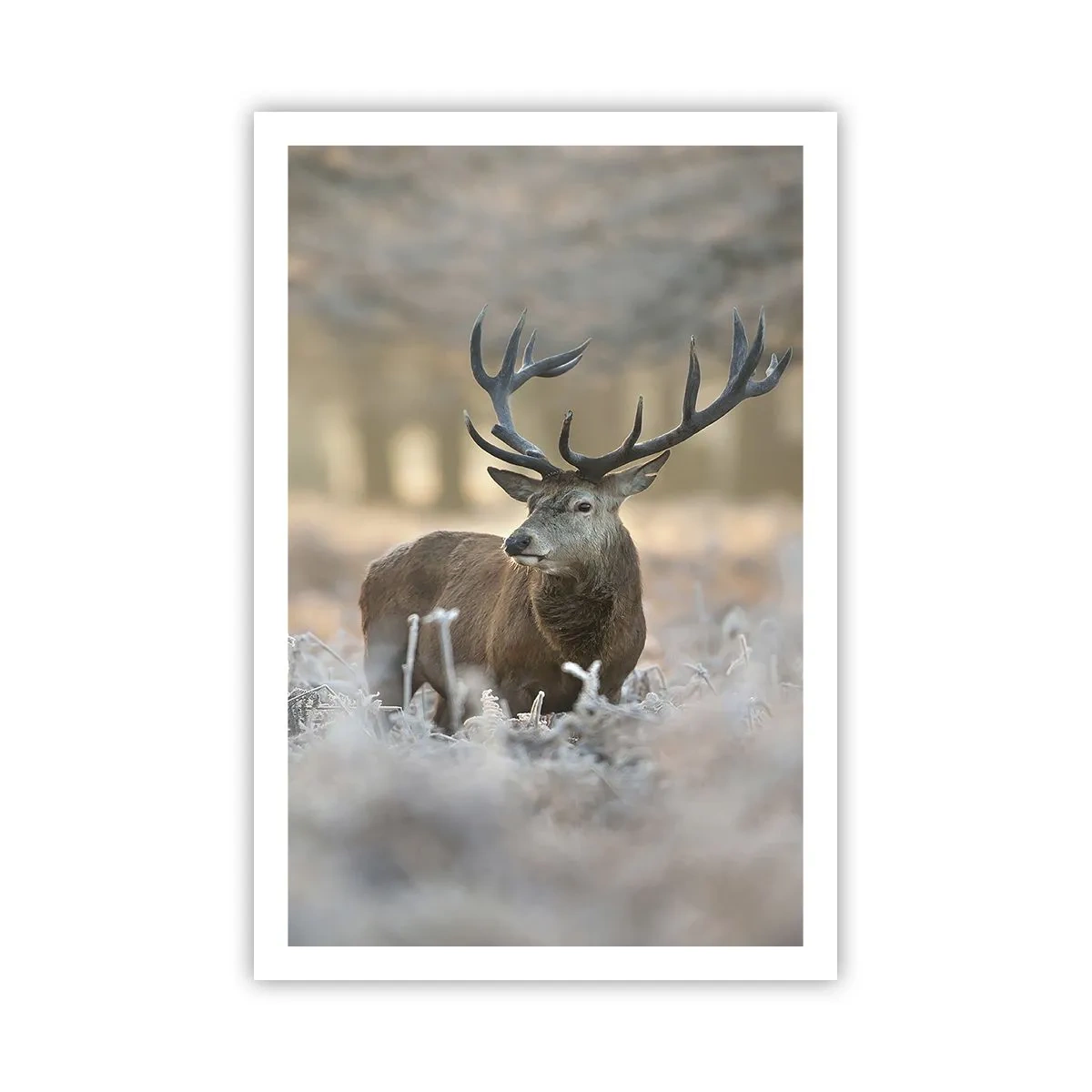 Poster - Fresco mattino - 61x91 cm