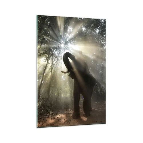 Quadro su vetro - Un elefante nella foresta circondato da raggi di luce nella nebbia mattutina - 80x120cm - Sotto una stella fortunata - Decorazione murale moderna per soggiorno e camera da letto ARTTOR