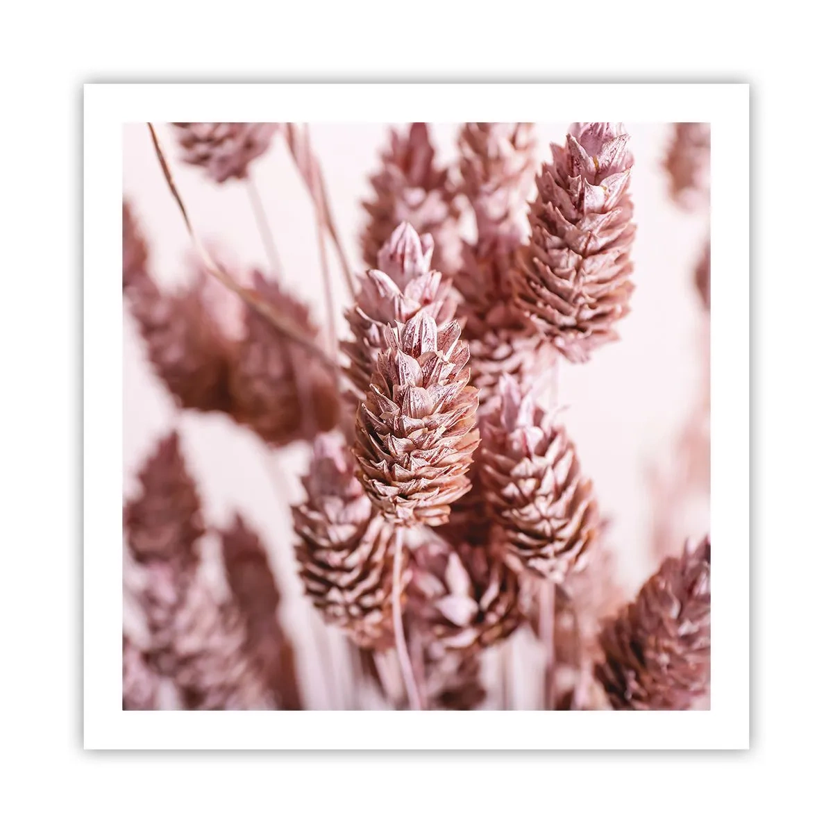 Poster - A prima vista poco appariscenti - 60x60 cm