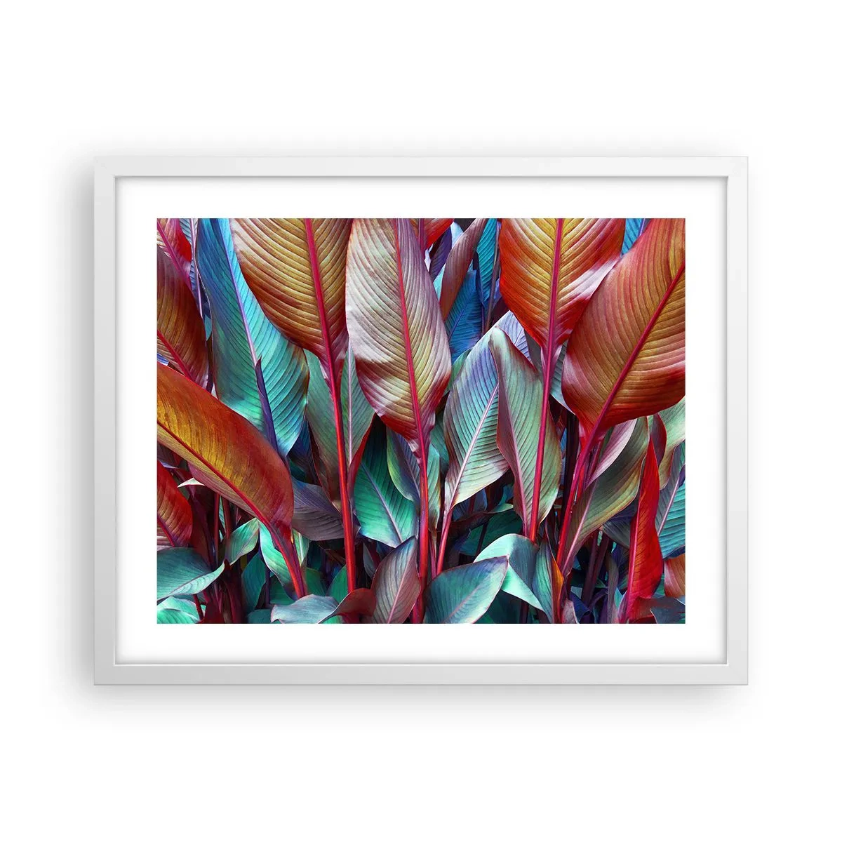 Poster in cornice bianca - Selva colorata - 50x40 cm