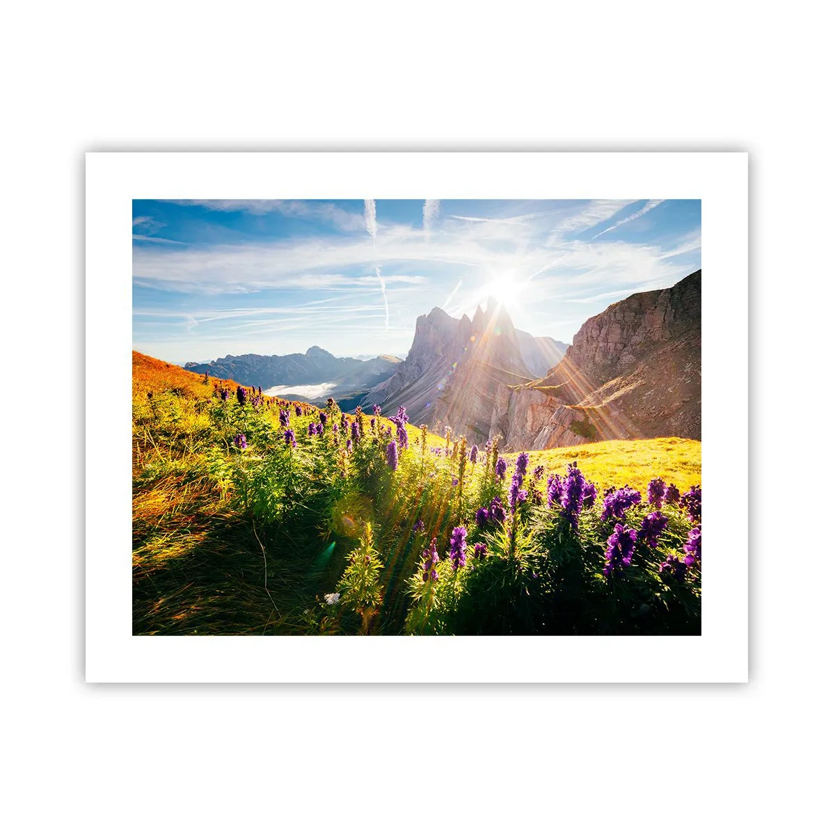 Poster - La vita segreta delle erbe - 50x40 cm