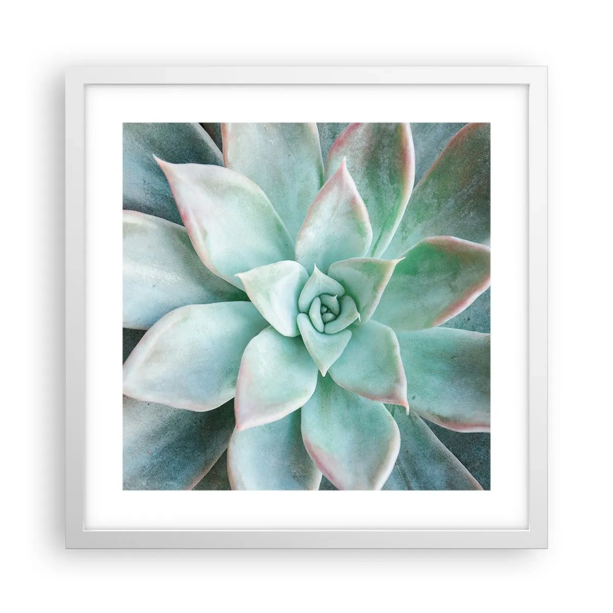 Poster in cornice bianca - Il cuore del deserto - 40x40 cm