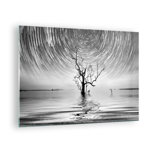 Quadro su vetro - Paesaggio in bianco e nero con un albero e strisce di stelle - 70x50cm - Sinfonia della natura - Decorazione murale moderna per soggiorno e camera da letto ARTTOR