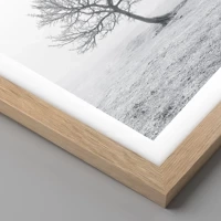 Rovere chiaro