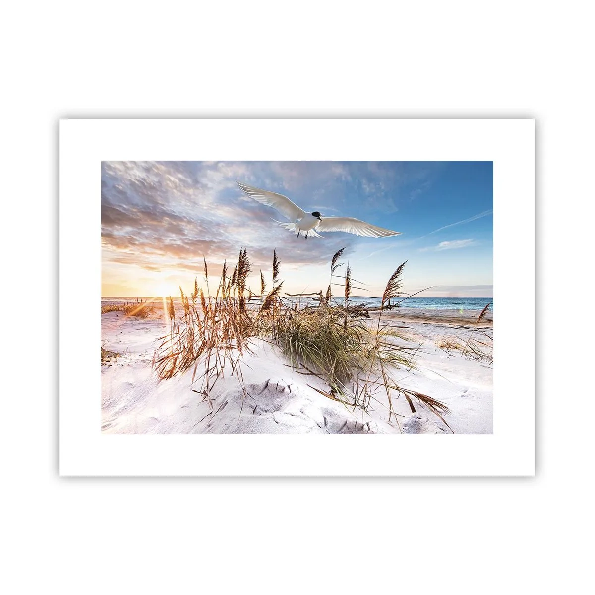 Poster - Vento dal mare - 40x30 cm