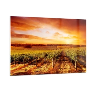Quadro su vetro - Viti in un campo al tramonto - 120x80cm - Profumo di frutta con una nota di sole - Decorazione murale moderna per soggiorno e camera da letto ARTTOR
