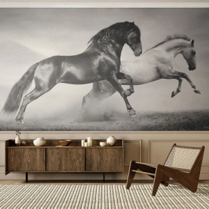 Fotomurali Premium Sand - Cavalli bianchi e neri in un galoppo dinamico - 100x70cm - Angeli e demoni - Decorazione murale moderna per soggiorno e camera da letto ARTTOR