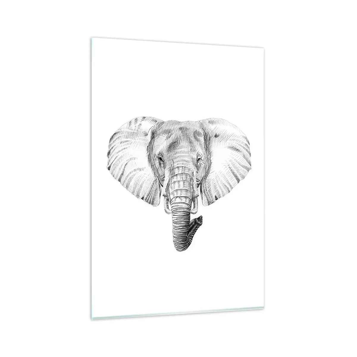Quadro su vetro - Disegno in bianco e nero della testa di un elefante su sfondo bianco - 80x120cm - C'era un volta un elefante - Decorazione murale moderna per soggiorno e camera da letto ARTTOR