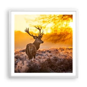 Poster in cornice bianca - Il re del bosco estivo - 60x60 cm