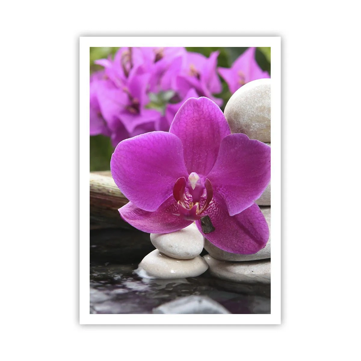 Poster - E già ti riposi - 70x100 cm