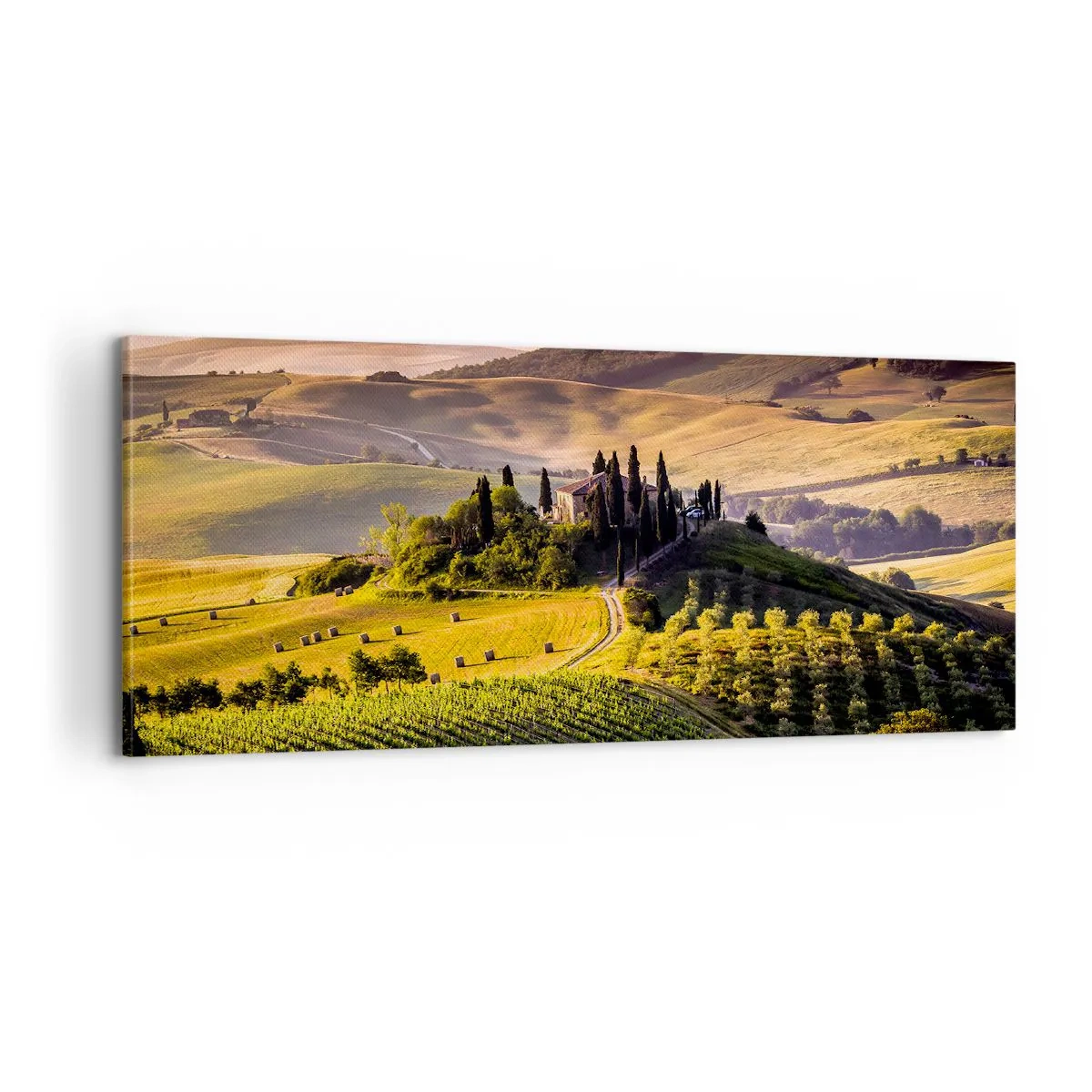 Quadro su tela - Stampe su Tela - Arcadia: paesaggio toscano - 100x40 cm