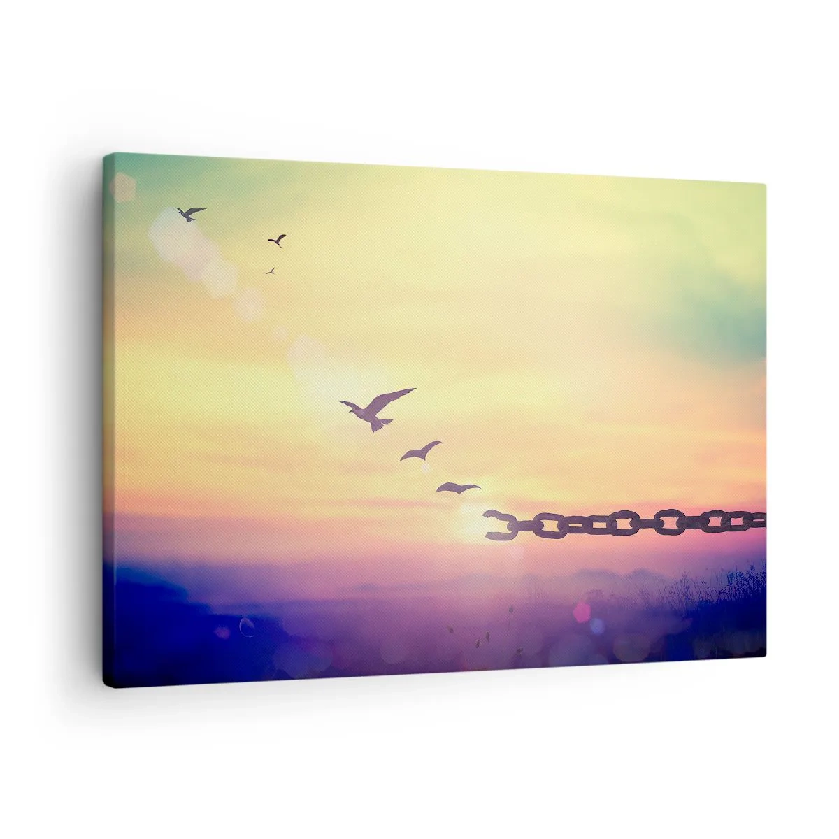 Quadro su tela - Stampe su Tela - Simbolo di libertà con uccelli e una catena spezzata - 70x50cm - La vittoria della libertà - Decorazione murale moderna per soggiorno e camera da letto ARTTOR