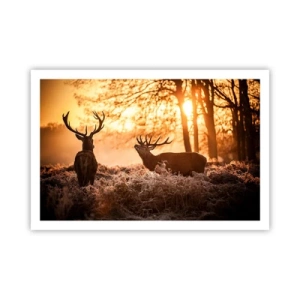 Poster - Il sogno del cacciatore - 91x61 cm