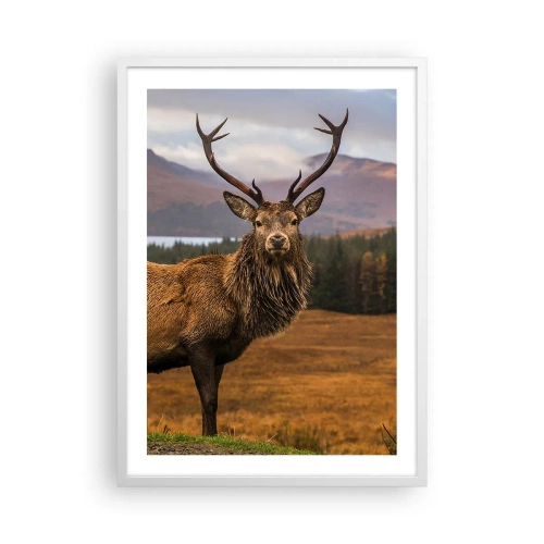 Poster in cornice bianca - Maestà della natura - 50x70 cm