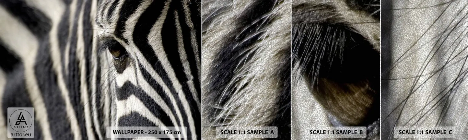 Campione di Fotomurale Premium Sand - Ritratto a strisce - Animali, Costolette, Africa - 100x30 cm