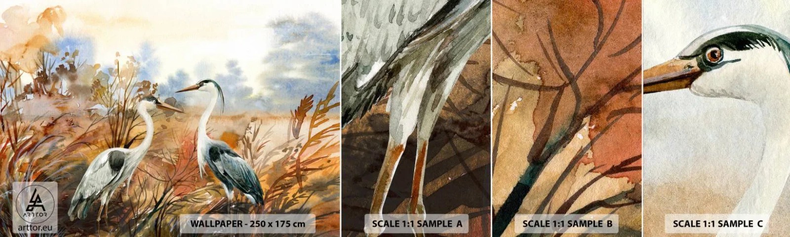 Campione di Fotomurale Adesivo Deluxe Sticker - Dove in autunno? - Gru, Uccelli, Natura - 100x30 cm