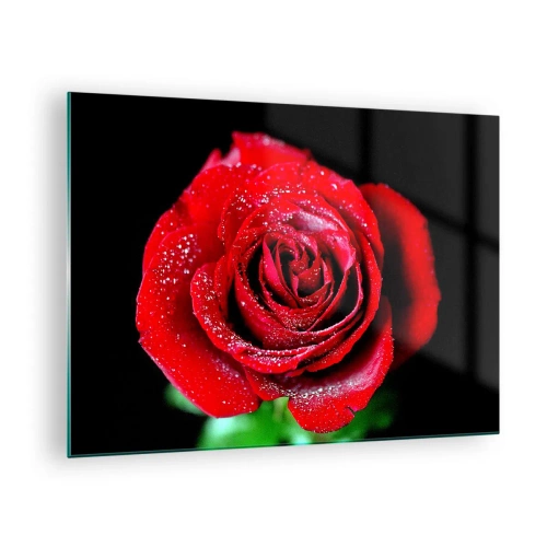 Quadro su vetro - Una rosa rossa ricoperta di gocce di rugiada su uno sfondo scuro - 70x50cm - Ecco l'amore - Decorazione murale moderna per soggiorno e camera da letto ARTTOR