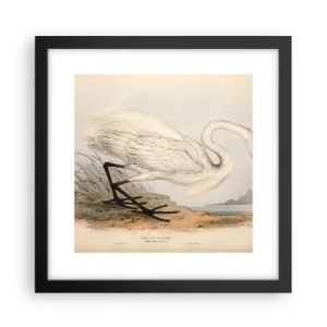 Poster in cornice nera - La signora nel canneto - 30x30 cm