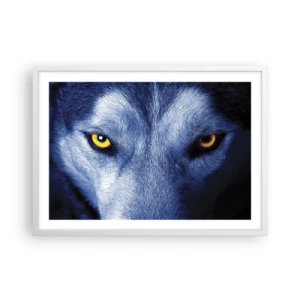 Poster in cornice bianca - Sguardo ipnotico - 70x50 cm