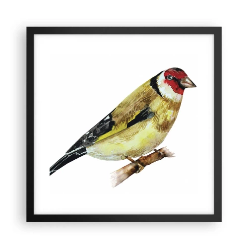 Poster in cornice nera - Ritratto di uccello - 40x40 cm