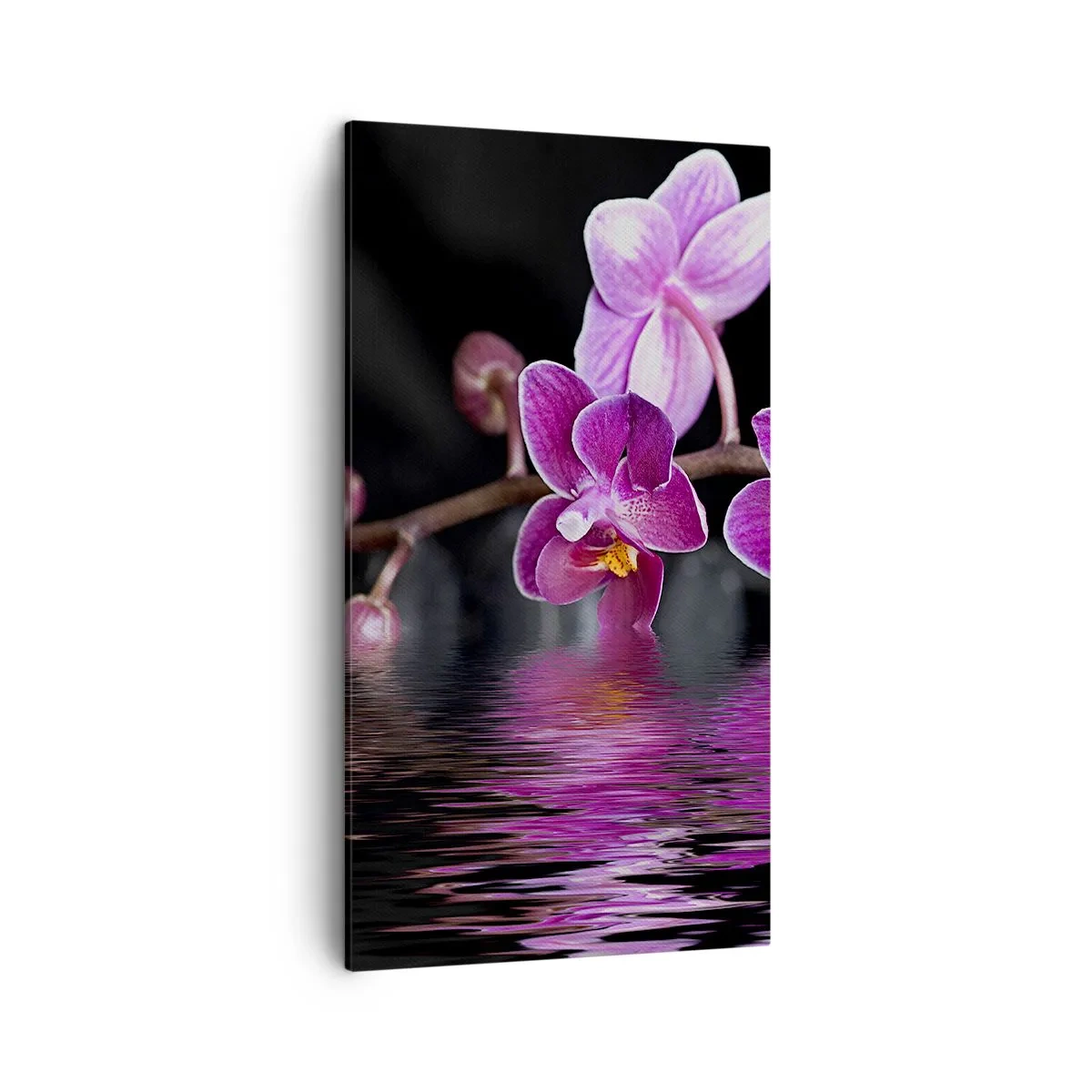 Quadro su tela - Stampe su Tela - La bellezza riflessa dai gigli - 45x80 cm