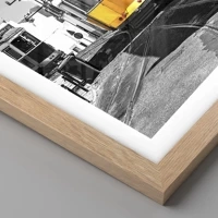 Rovere chiaro
