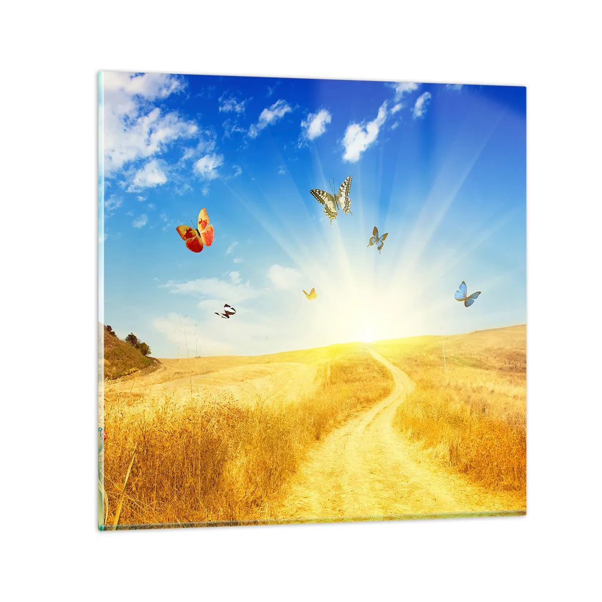 Quadro su vetro - Come non amare l'estate? - 60x60 cm