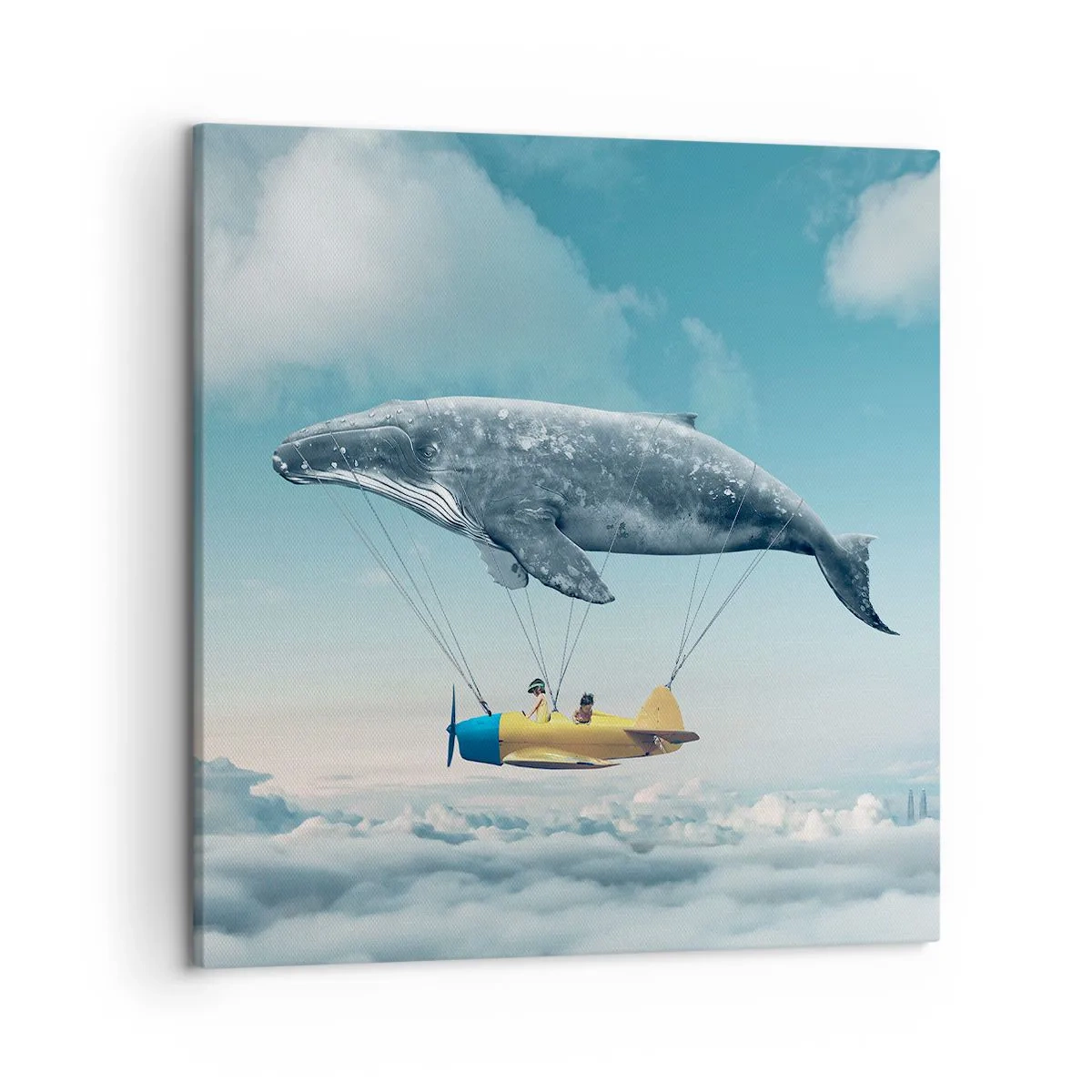 Quadro su tela - Stampe su Tela - Perché no? - 50x50 cm