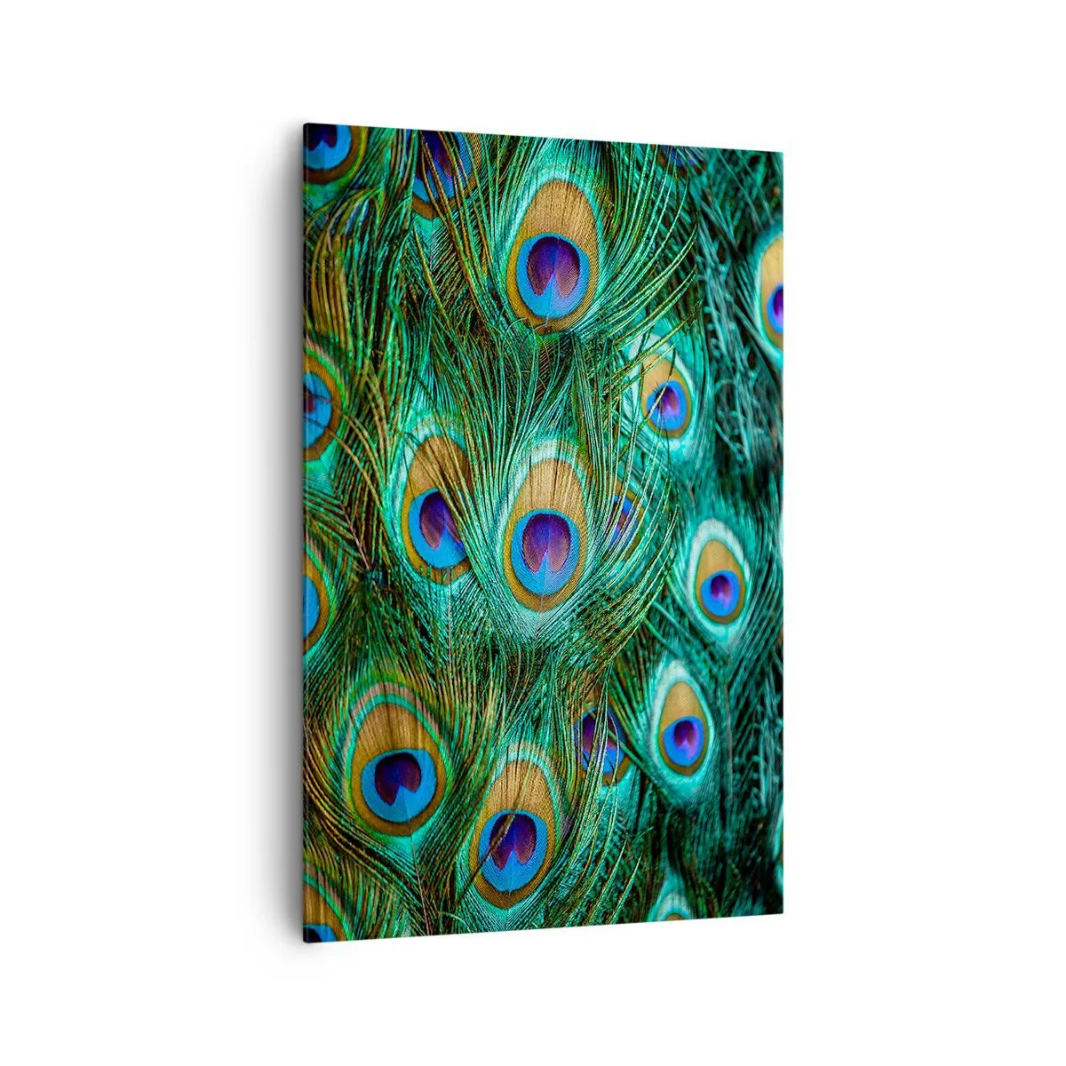 Quadro su tela - Stampe su Tela - Dettagli di piume di pavone in colori intensi - 80x120cm - Lo sguardo del pavone - Decorazione murale moderna per soggiorno e camera da letto ARTTOR