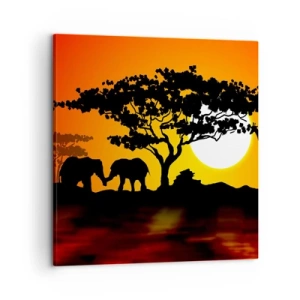 Quadro su tela - Stampe su Tela - Incontro nella savana - 60x60 cm