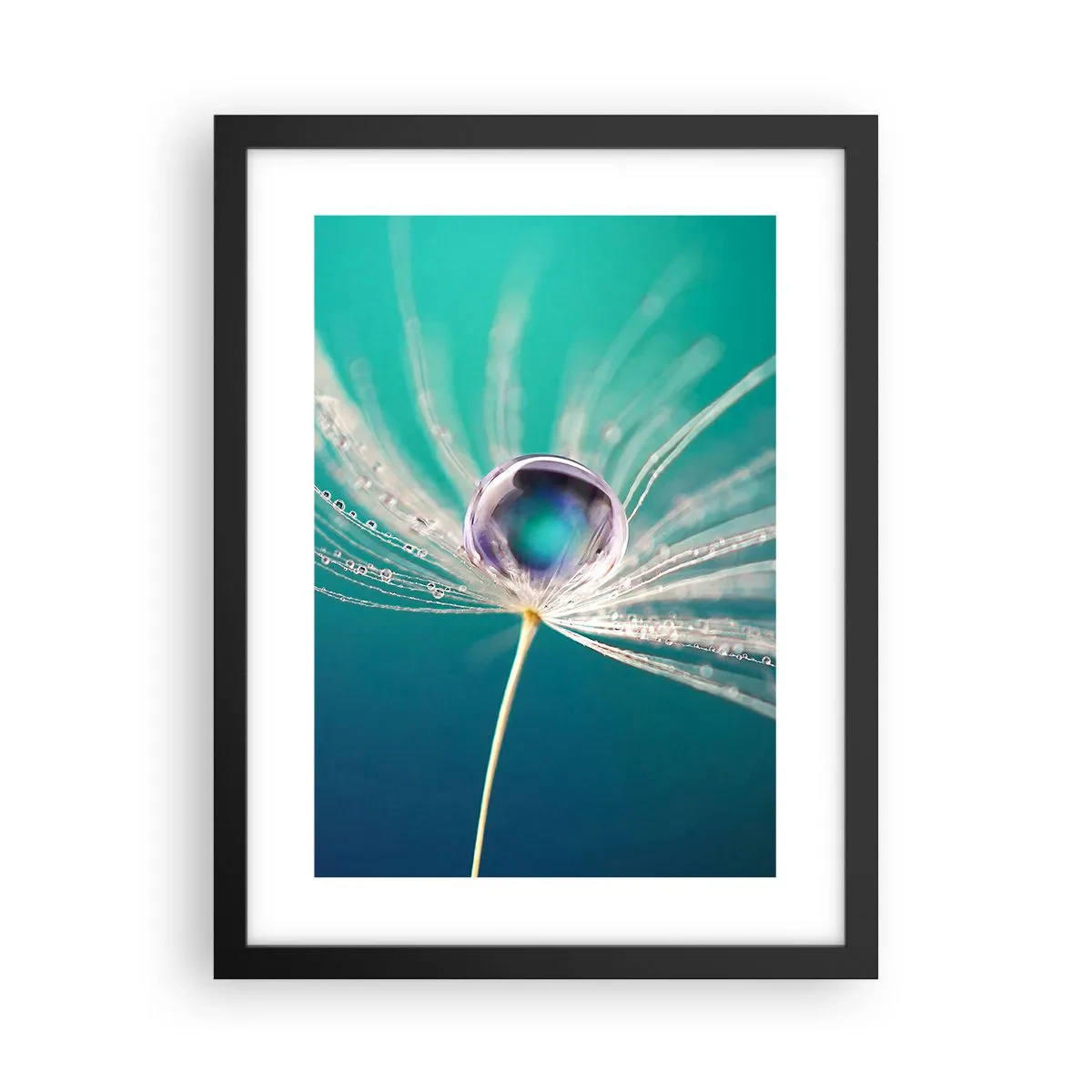 Poster in cornice nera - Attimo mistico - 30x40 cm