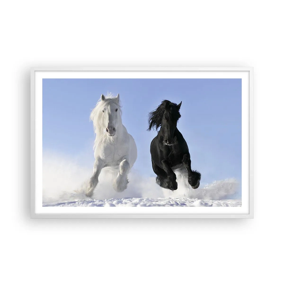 Poster in cornice bianca - Galoppo in bianco e nero - 91x61 cm