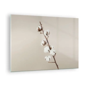 Quadro su vetro - Un rametto di cotone su uno sfondo chiaro e minimalista - 70x50cm - Alla fonte della morbidezza - Decorazione murale moderna per soggiorno e camera da letto ARTTOR