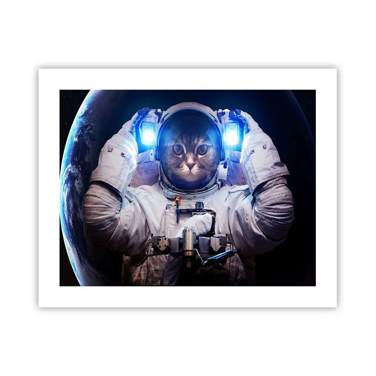 Poster - Houston, avete un problema - 50x40 cm