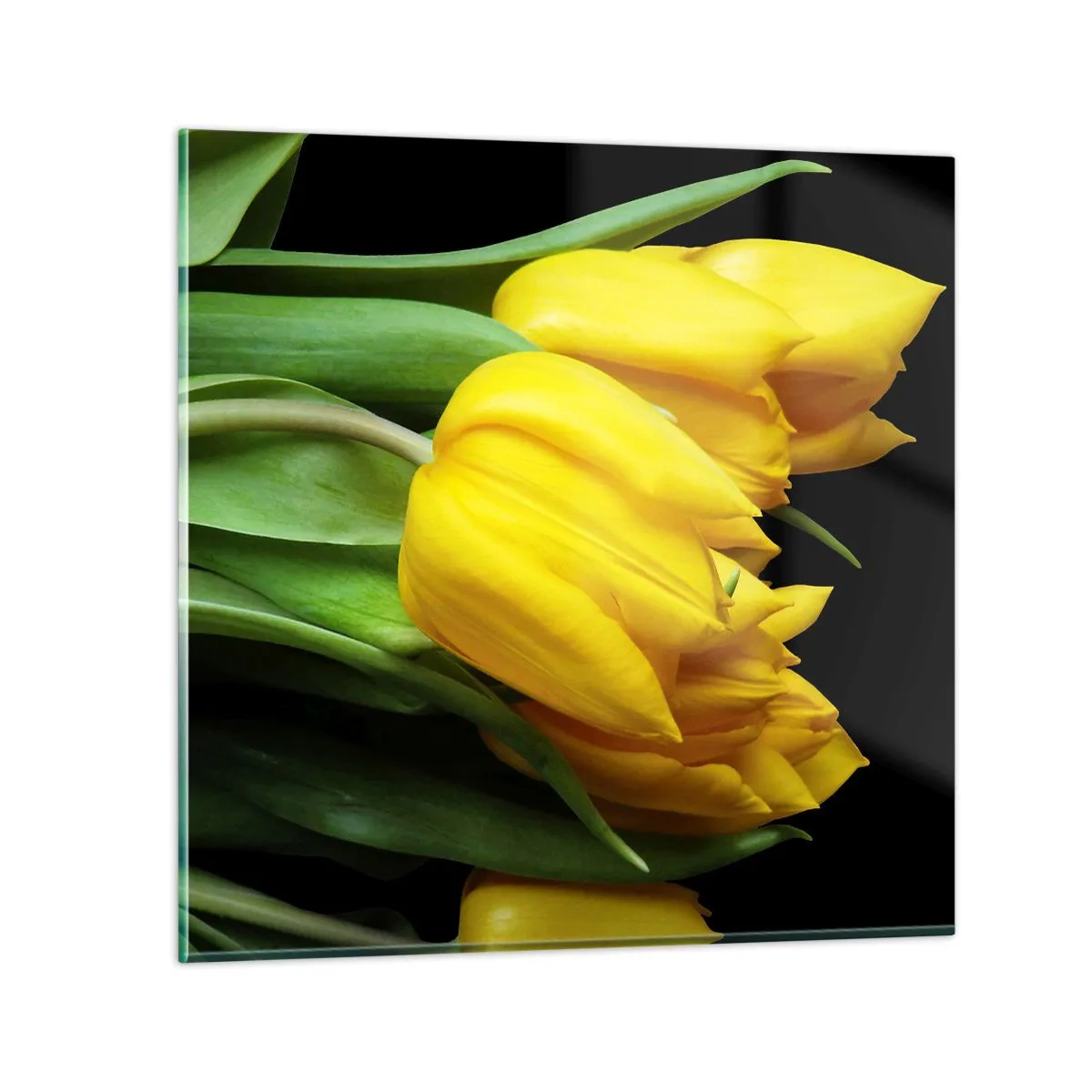 Quadro su vetro - Fatti di puro sole - 50x50 cm