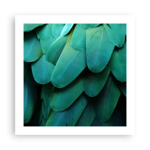 Poster - Precisione da pappagallo - 50x50 cm