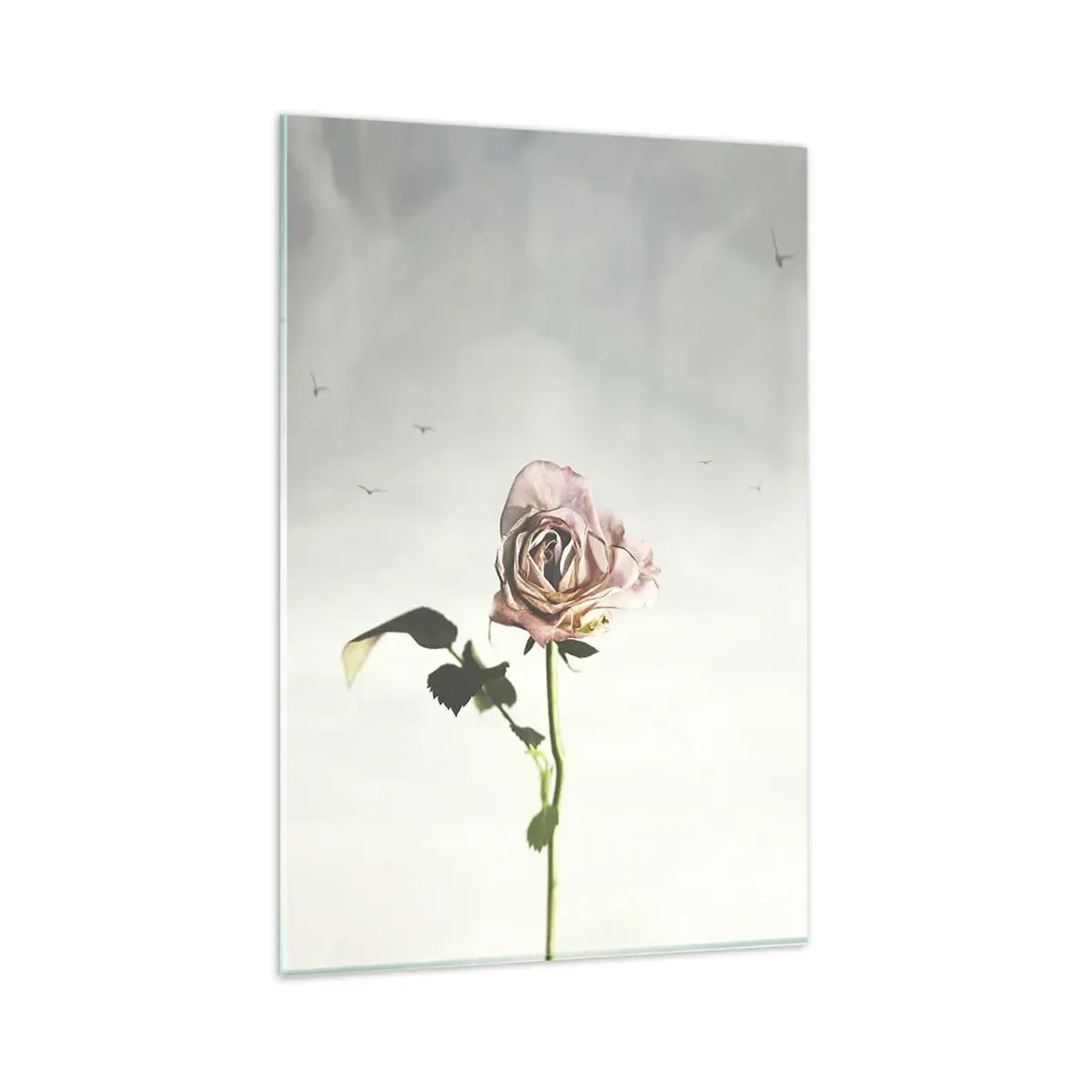 Quadro su vetro - Una rosa delicata contro un cielo luminoso con uccelli che volano - 80x120cm - Il benvenuto alla primavera - Decorazione murale moderna per soggiorno e camera da letto ARTTOR
